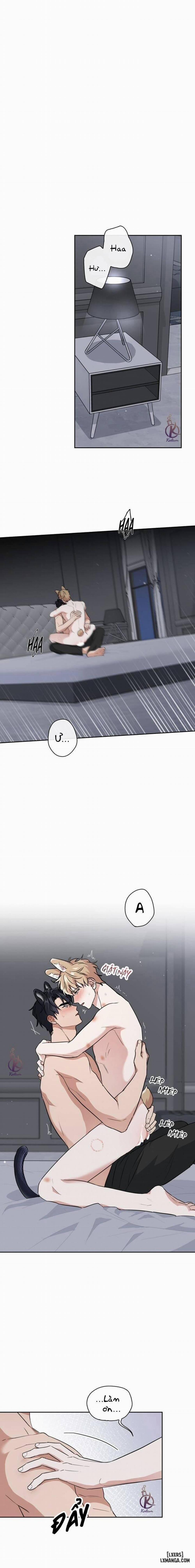 Mồi nhử 63 trang 0