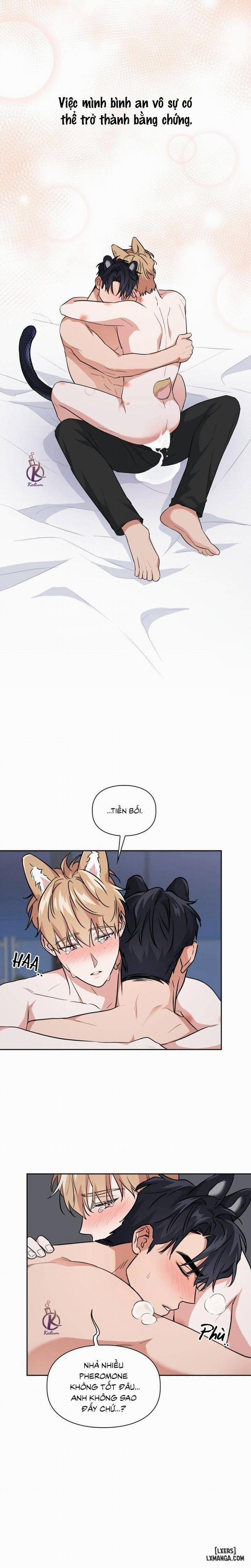 Mồi nhử 63 trang 10