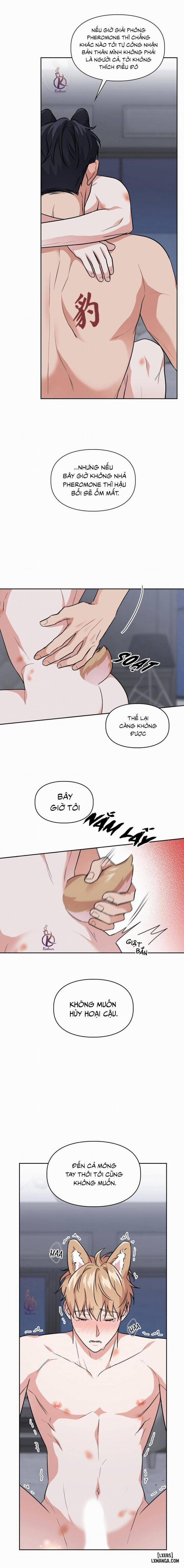 Mồi nhử 63 trang 11