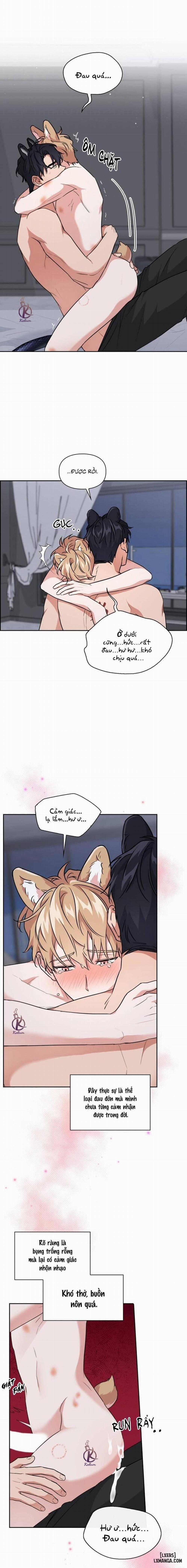 Mồi nhử 63 trang 2