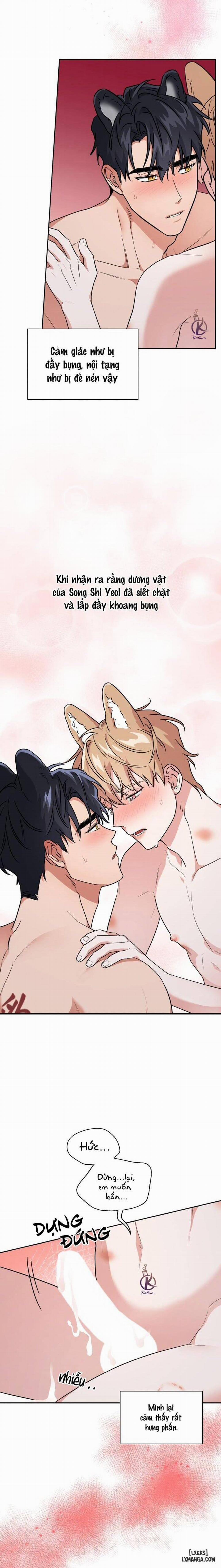 Mồi nhử 63 trang 3