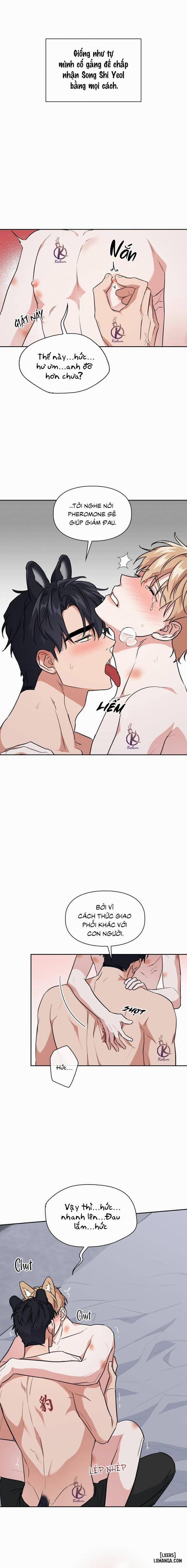 Mồi nhử 63 trang 5