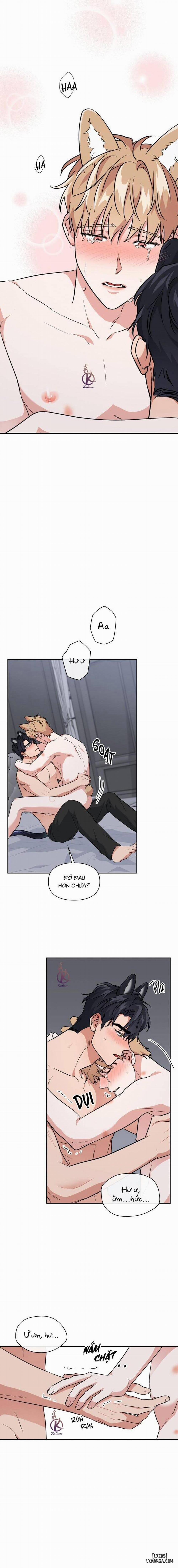 Mồi nhử 63 trang 6