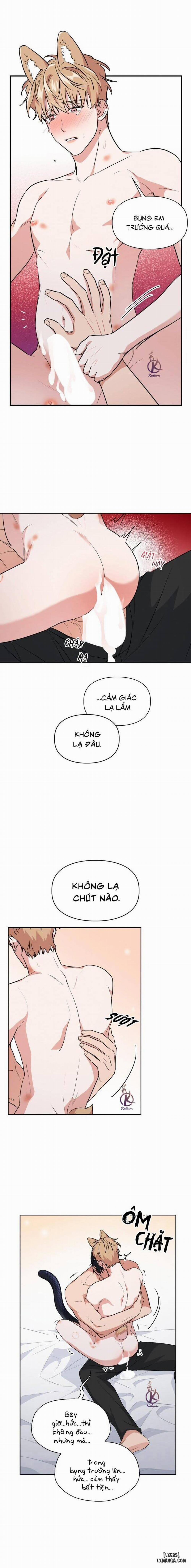 Mồi nhử 63 trang 7