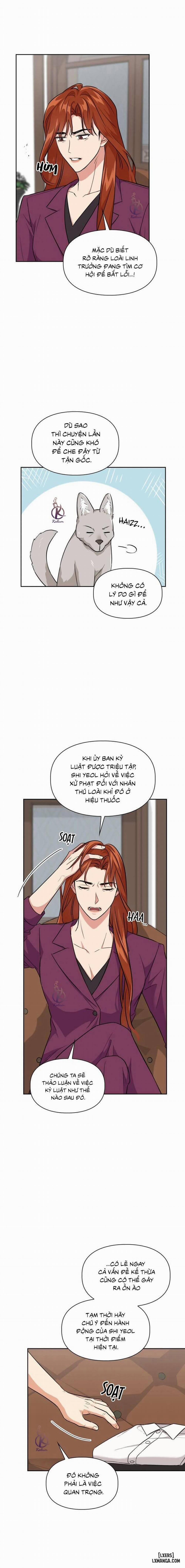 Mồi nhử 64 trang 1