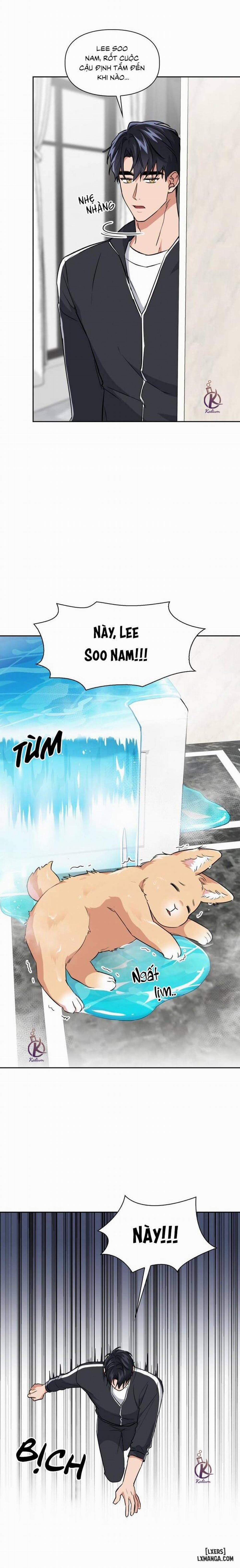 Mồi nhử 64 trang 11