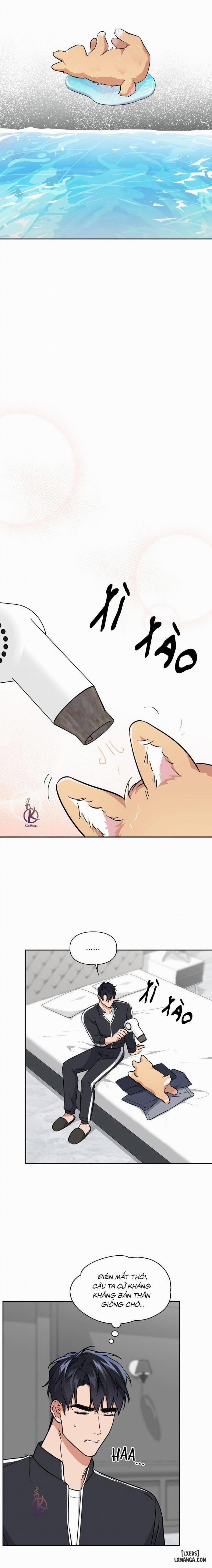 Mồi nhử 64 trang 12