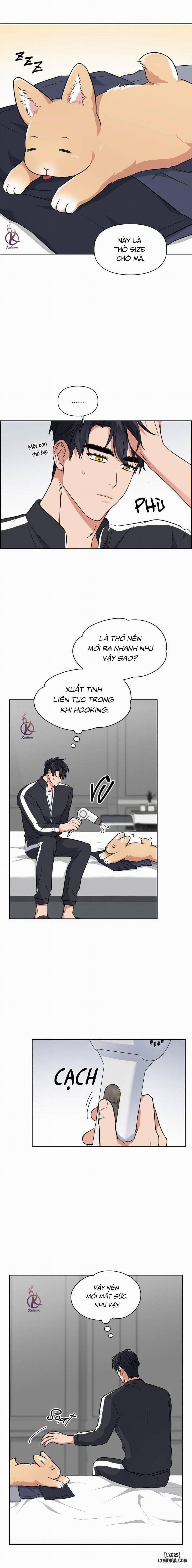 Mồi nhử 64 trang 13