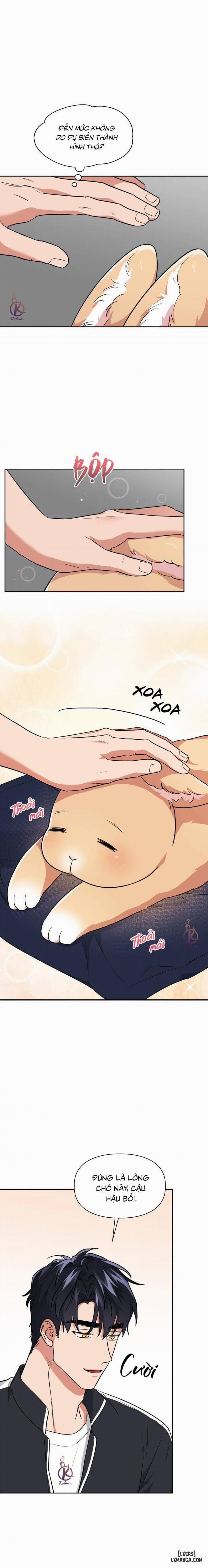 Mồi nhử 64 trang 14