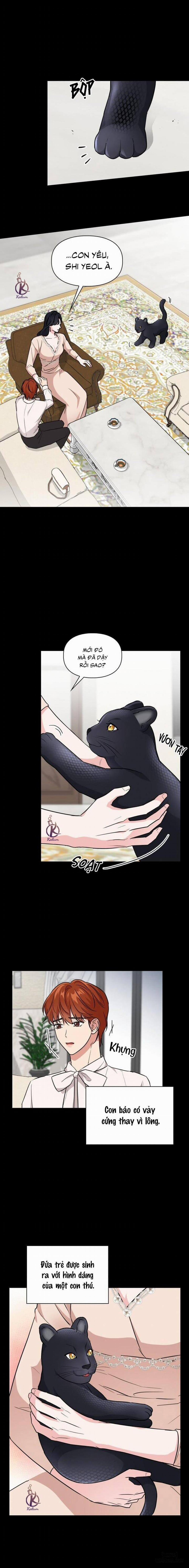 Mồi nhử 64 trang 8