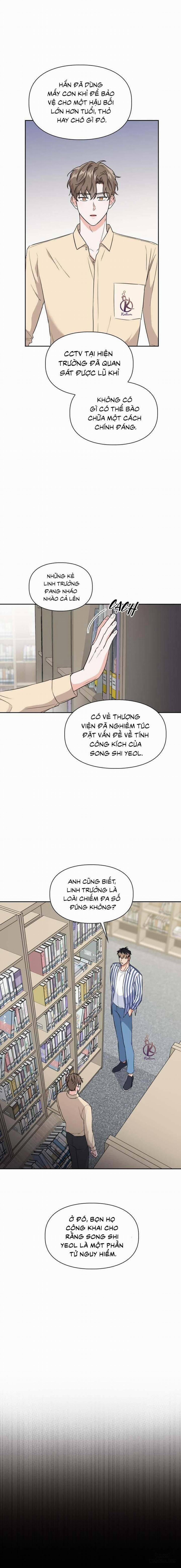 Mồi nhử 65 trang 1