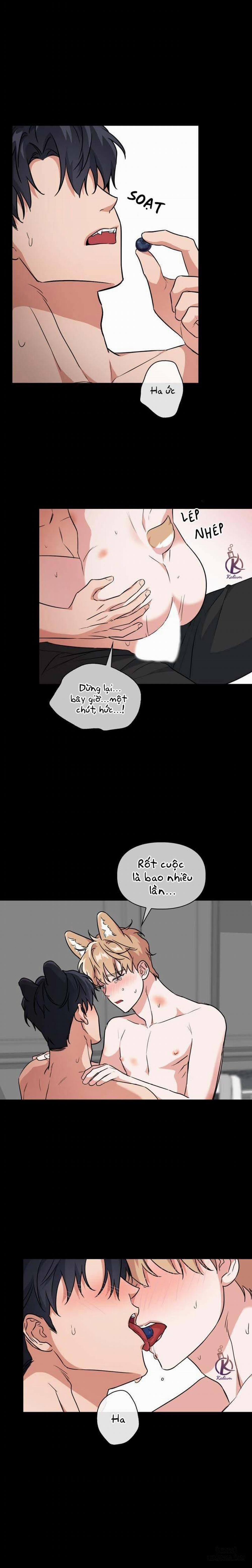 Mồi nhử 65 trang 13