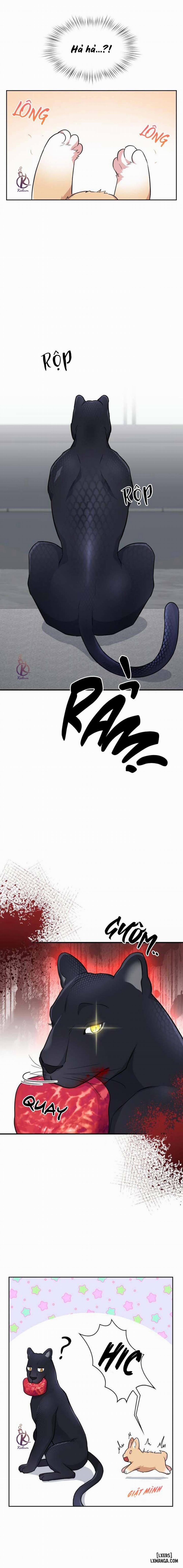 Mồi nhử 65 trang 8