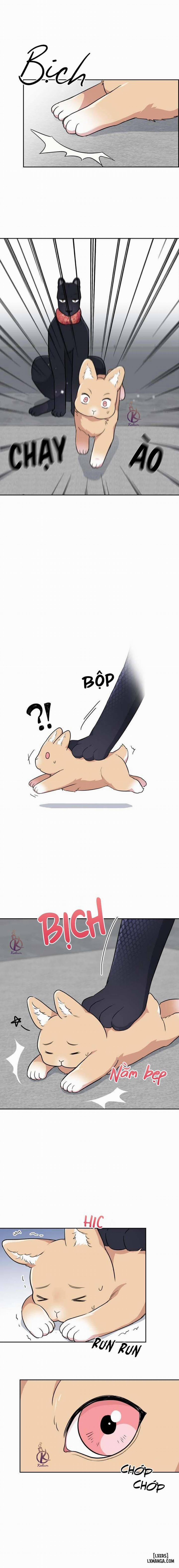 Mồi nhử 65 trang 9