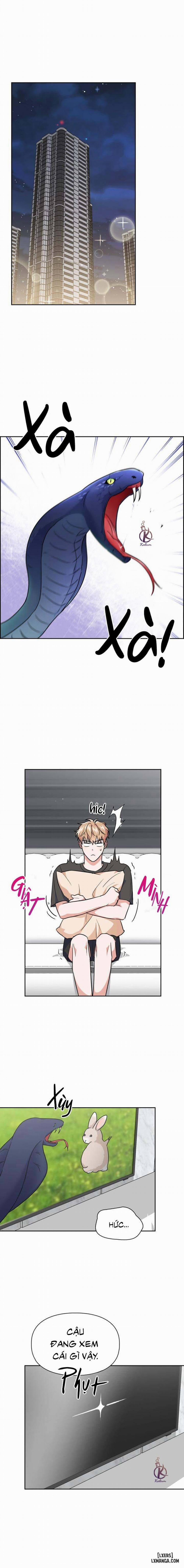 Mồi nhử 66 trang 12