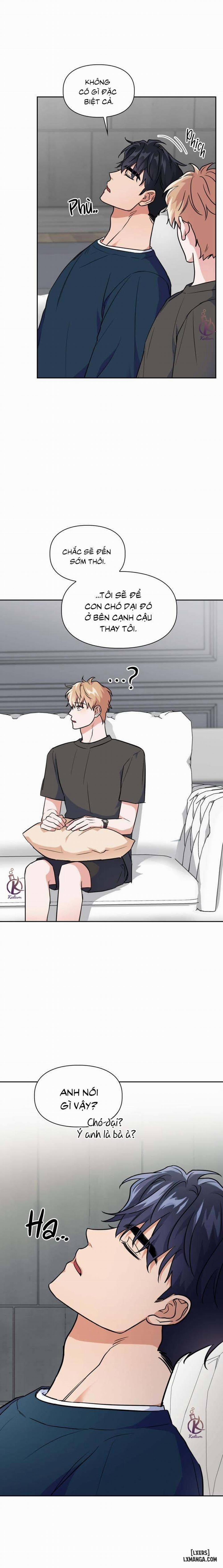 Mồi nhử 66 trang 16