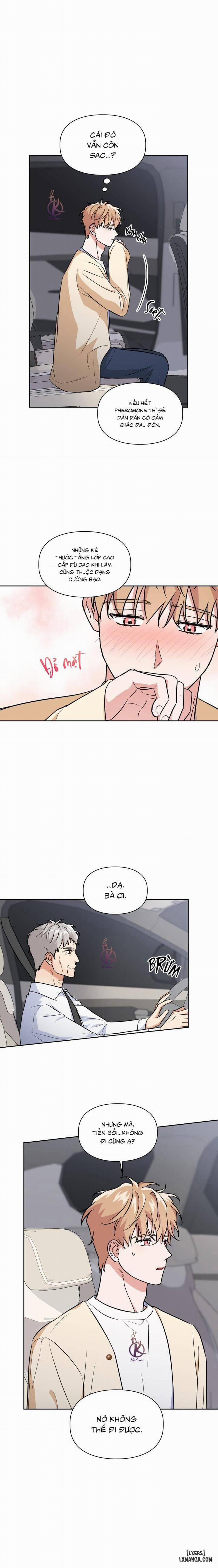 Mồi nhử 67 trang 10