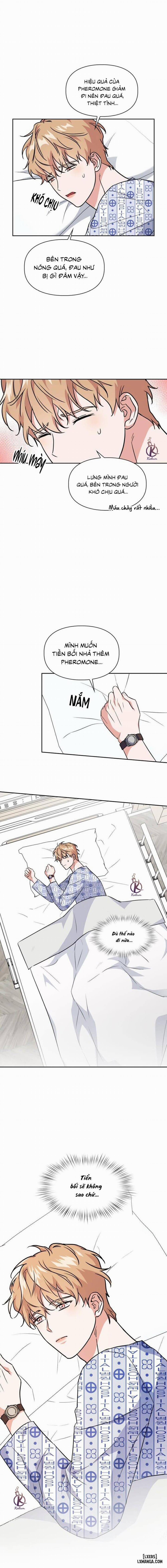 Mồi nhử 68 trang 13