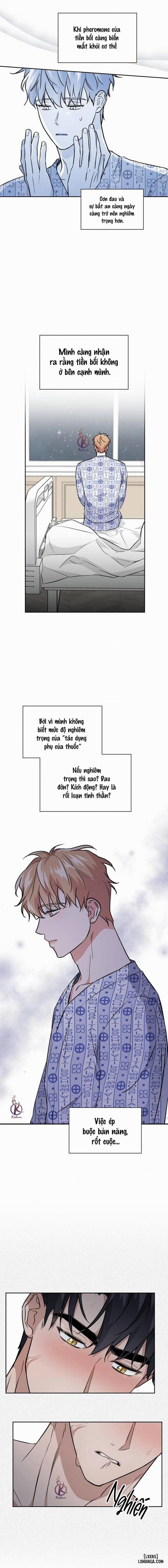 Mồi nhử 69 trang 10