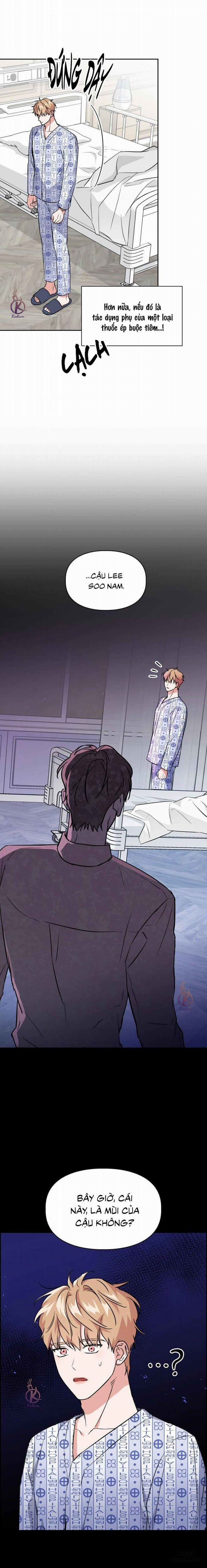 Mồi nhử 69 trang 12