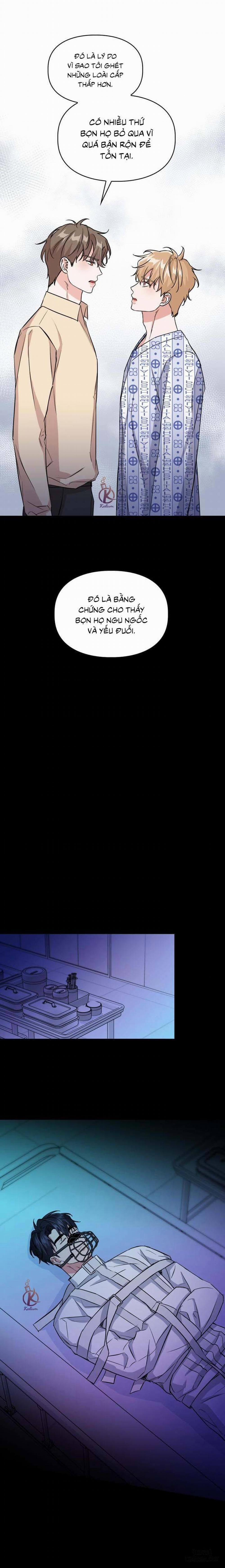 Mồi nhử 70 trang 11