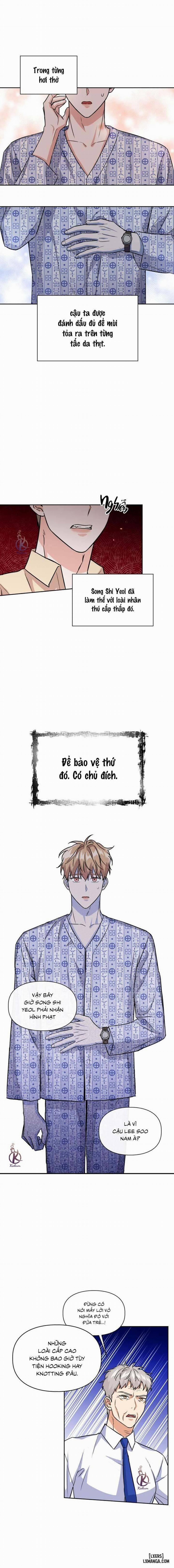 Mồi nhử 70 trang 2