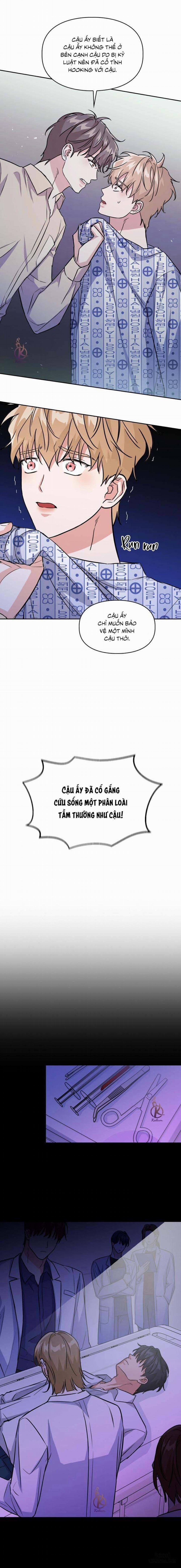 Mồi nhử 70 trang 4