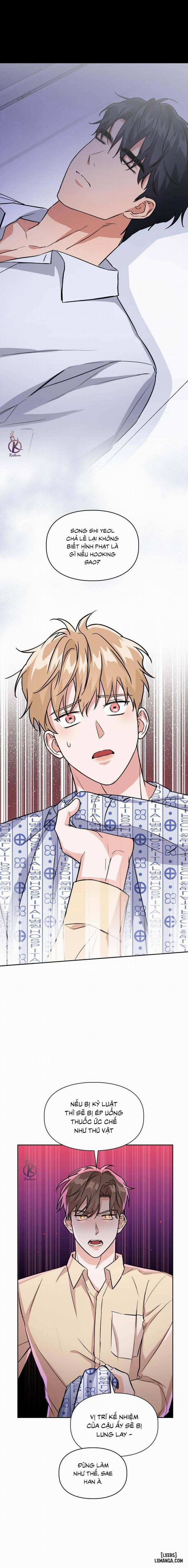 Mồi nhử 70 trang 5