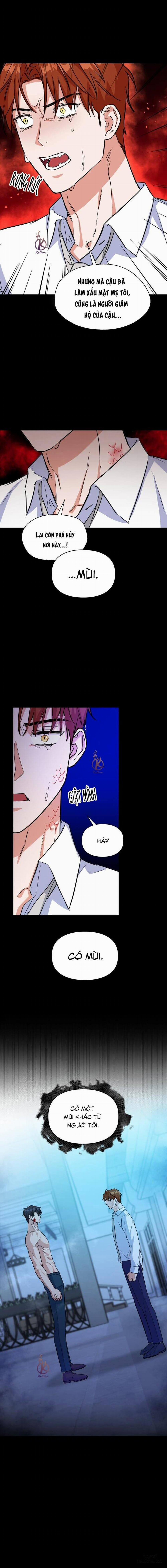 Mồi nhử 71 trang 12