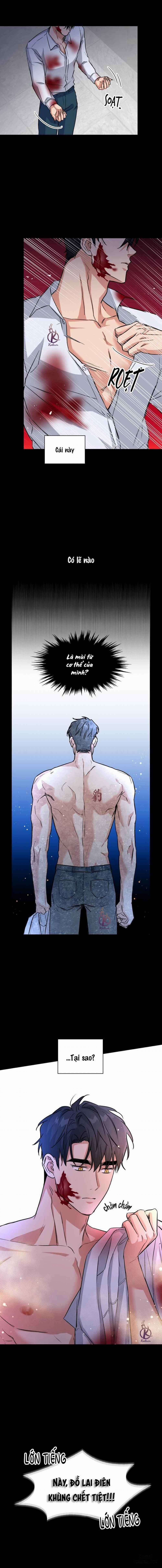 Mồi nhử 71 trang 9