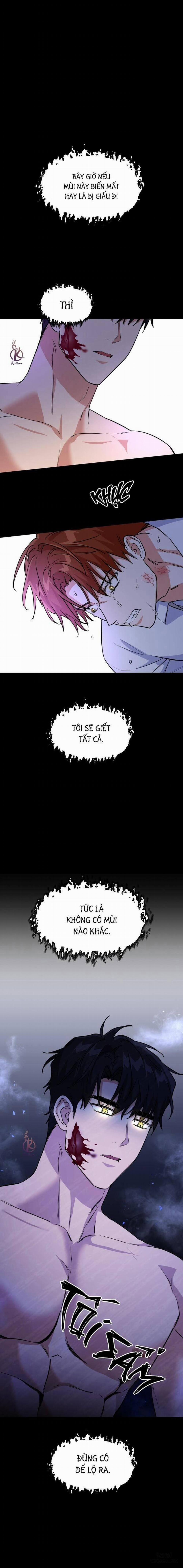 Mồi nhử 72 trang 0