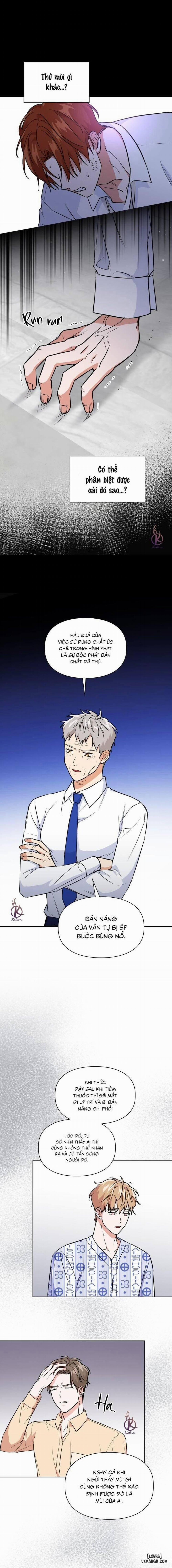 Mồi nhử 72 trang 1