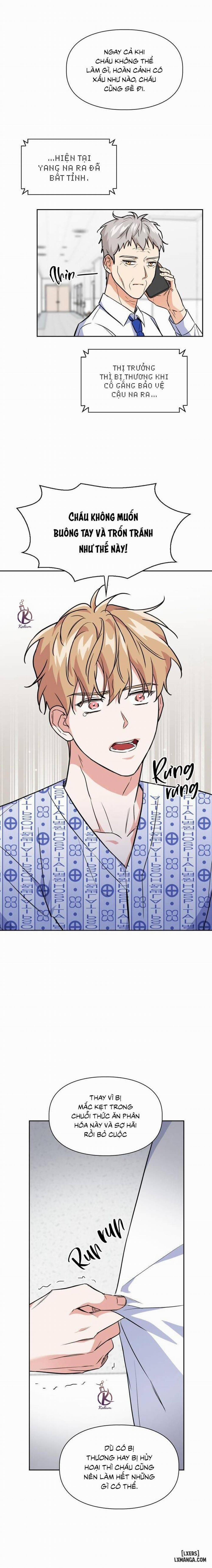 Mồi nhử 72 trang 14