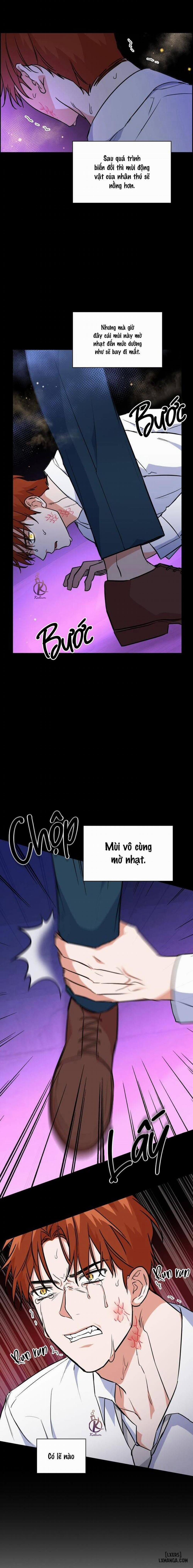 Mồi nhử 72 trang 3