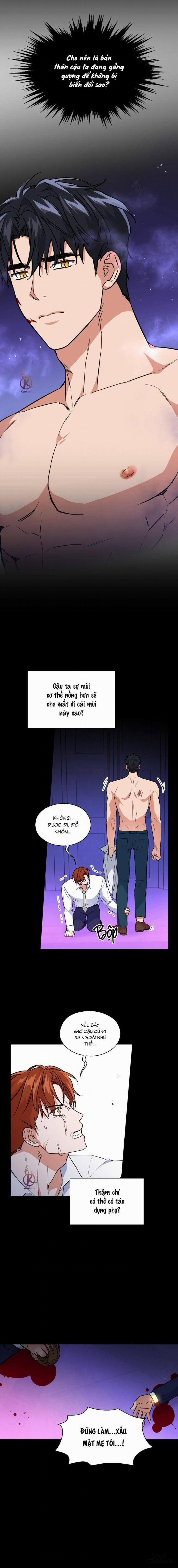 Mồi nhử 72 trang 4