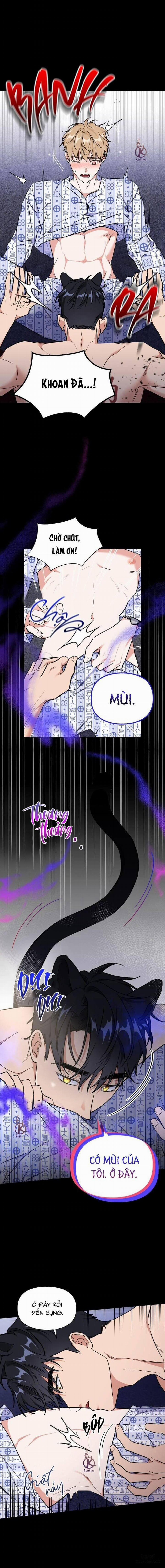 Mồi nhử 75 trang 1