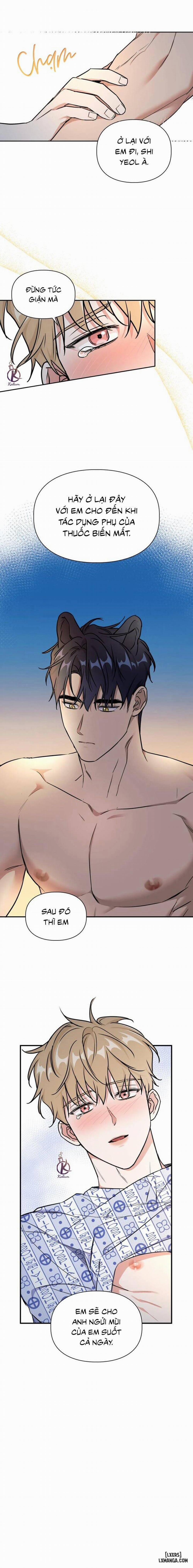 Mồi nhử 75 trang 11