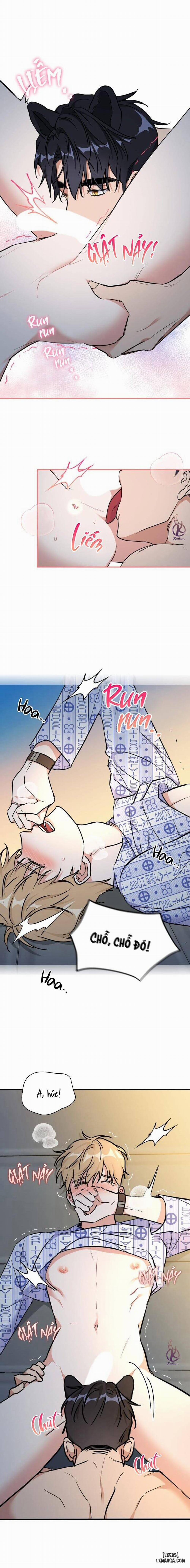 Mồi nhử 75 trang 12