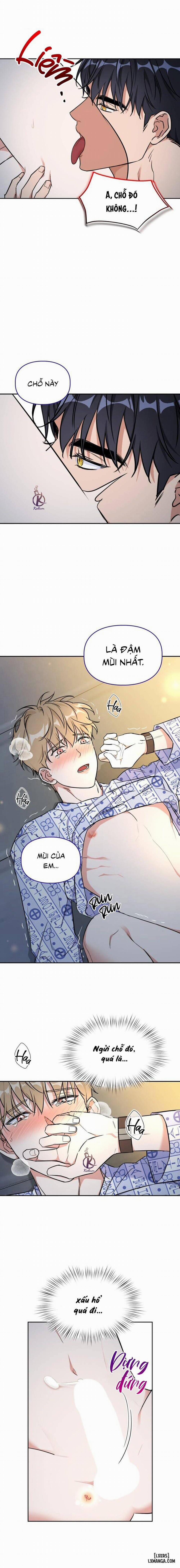 Mồi nhử 75 trang 13