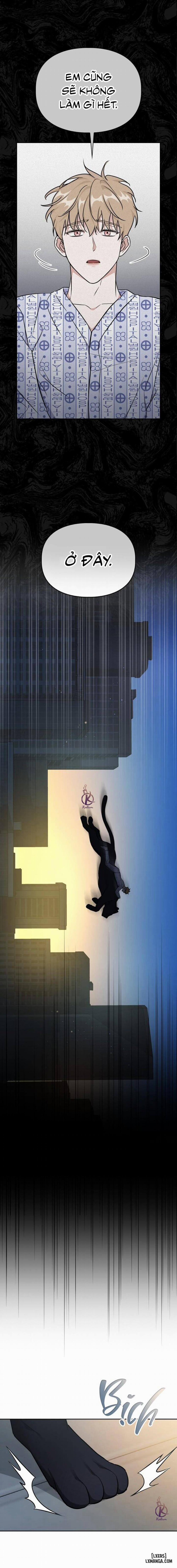 Mồi nhử 75 trang 7