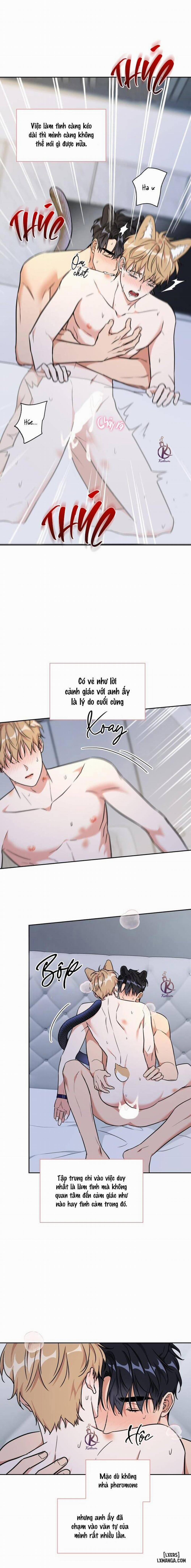 Mồi nhử 76 trang 10