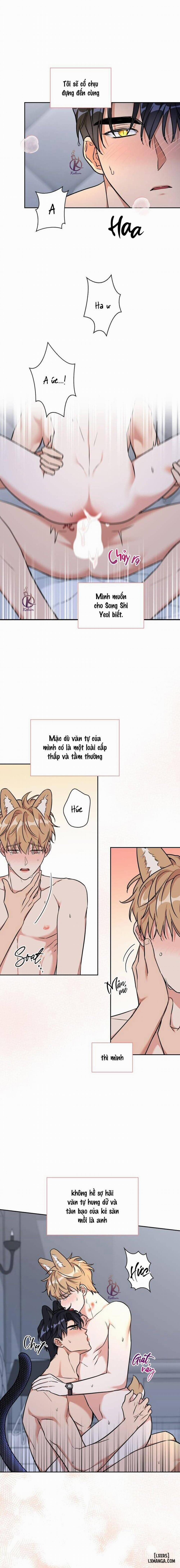 Mồi nhử 76 trang 12