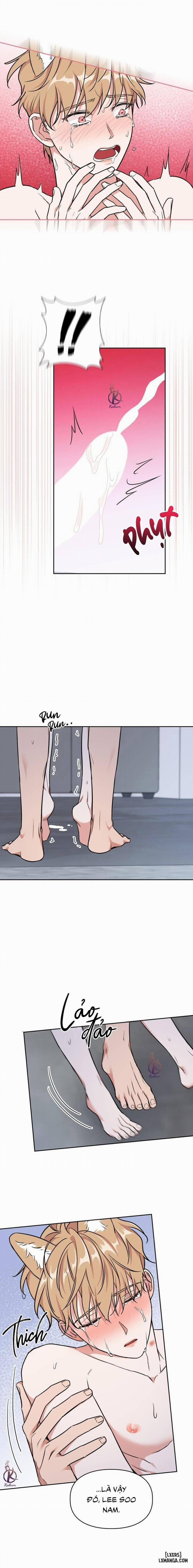 Mồi nhử 76 trang 17