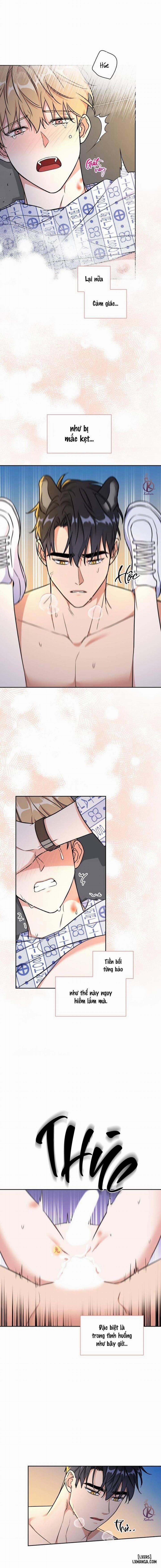 Mồi nhử 76 trang 2