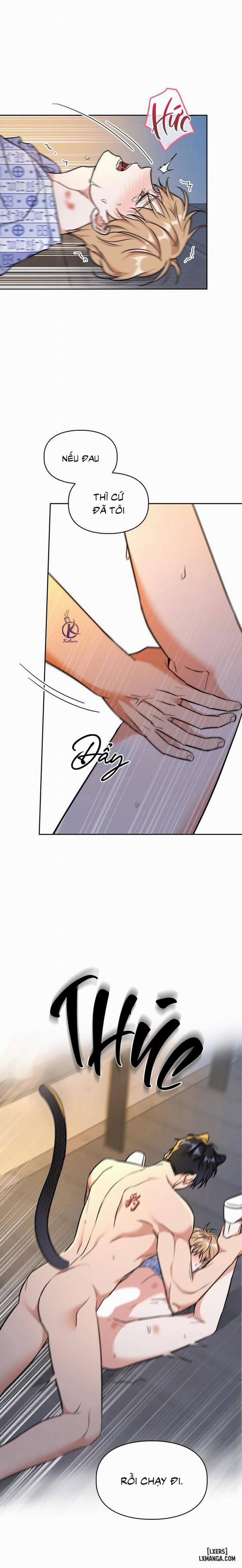 Mồi nhử 76 trang 5