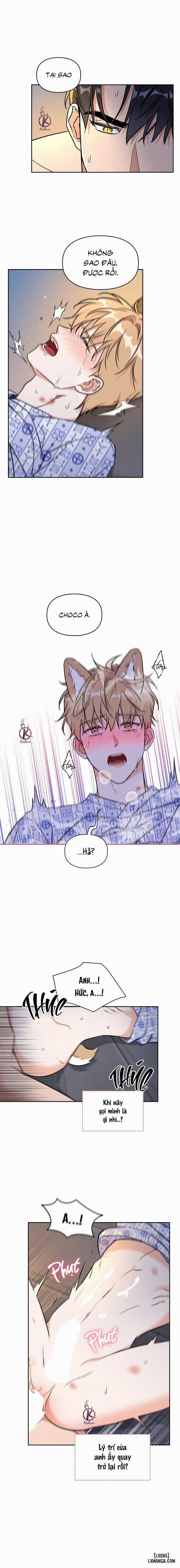 Mồi nhử 76 trang 6