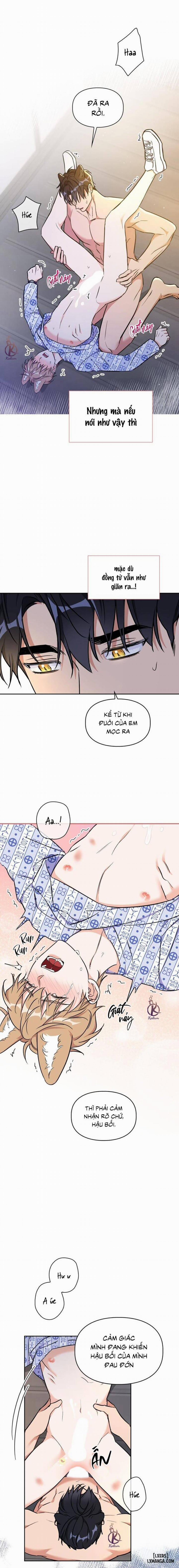 Mồi nhử 76 trang 7