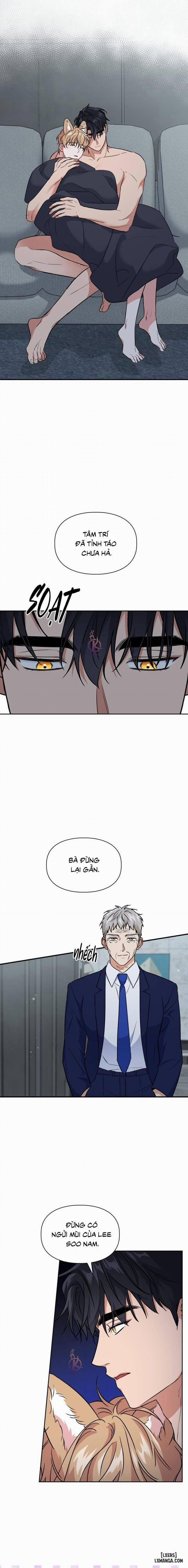 Mồi nhử 77 trang 1