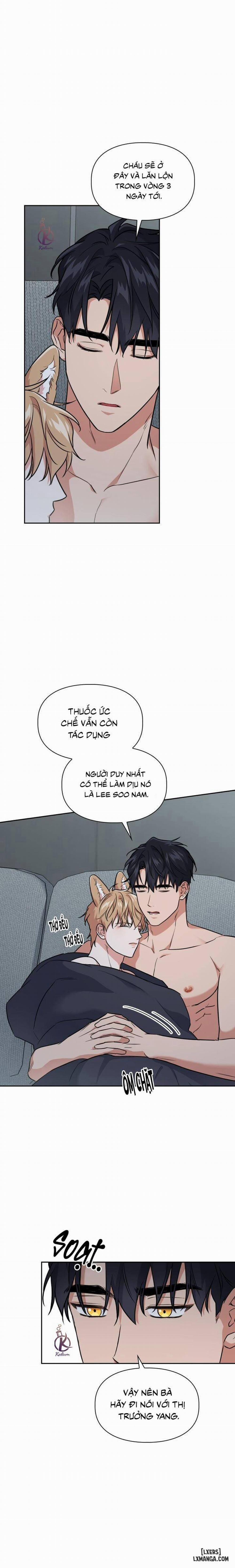 Mồi nhử 77 trang 6