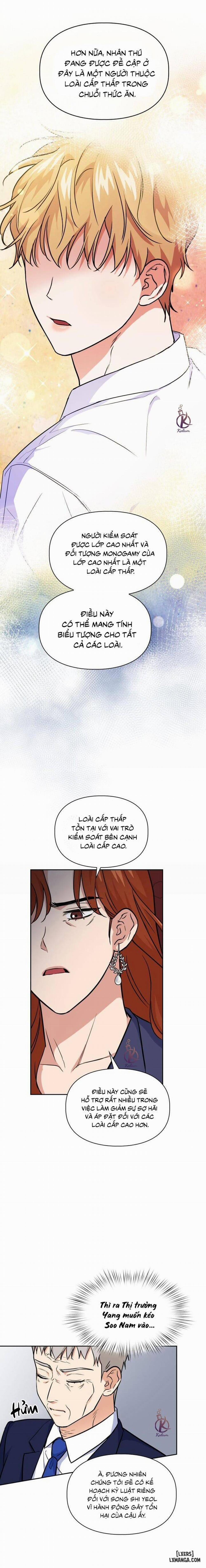 Mồi nhử 78 trang 12